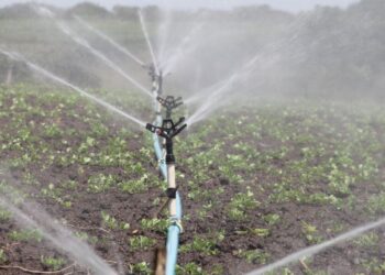 What Are the Greatest Water Transfer Pumps for Farming and Irrigation?