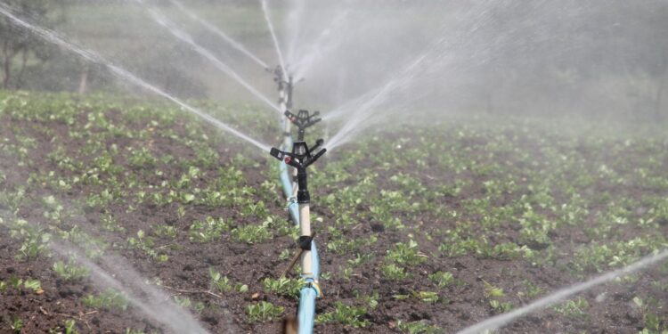 What Are the Greatest Water Transfer Pumps for Farming and Irrigation?