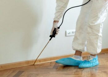 The Quiet Warning Signs of Pest Activity Most Homeowners Don’t Notice Until It’s Too Late