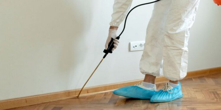 The Quiet Warning Signs of Pest Activity Most Homeowners Don’t Notice Until It’s Too Late