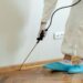 The Quiet Warning Signs of Pest Activity Most Homeowners Don’t Notice Until It’s Too Late