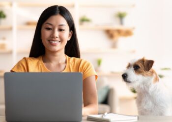 Are You Being Misclassified as an Independent Contractor? Your Rights in MA