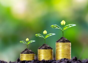 How to Grow Your Net Worth Online Without Falling for the Noise