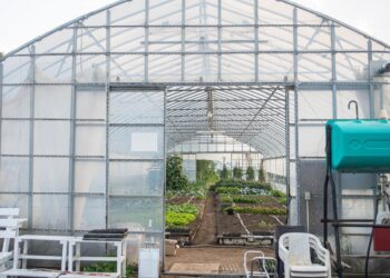 Greenhouse Repairs and Upgrades You Can Do Yourself