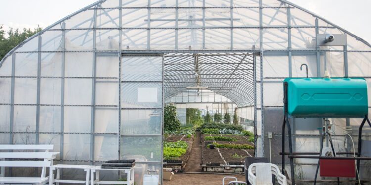 Greenhouse Repairs and Upgrades You Can Do Yourself