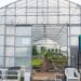 Greenhouse Repairs and Upgrades You Can Do Yourself