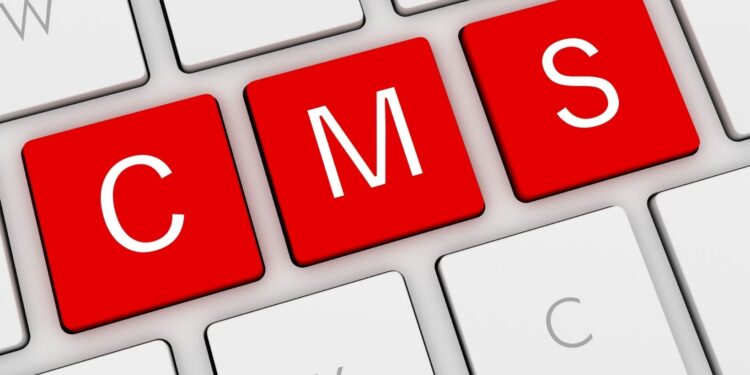 How to Build a Content Team Around a Headless CMS Workflow