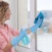 Leading Window Washing Companies in Winnipeg: 5 Noteworthy Options