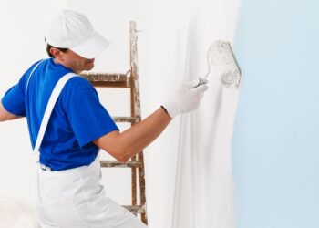 Why House Painting and Plumbers Are Essential for Long-Term Home Protection