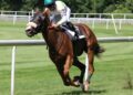 The Relationship Between Horse Racing and Racing Events and the Fan Economy