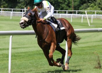 The Relationship Between Horse Racing and Racing Events and the Fan Economy