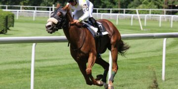 The Relationship Between Horse Racing and Racing Events and the Fan Economy