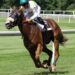 The Relationship Between Horse Racing and Racing Events and the Fan Economy