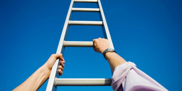 Grinding the Ladder: How the LevelUp Loyalty System Works for Canadians