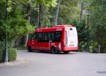 How Regional Auto Transport Services Operate