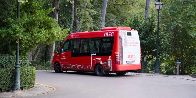 How Regional Auto Transport Services Operate