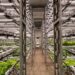Why Every Modern Farm Needs a Metal Agricultural Building