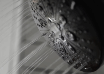 Why Clean Water Isn’t Just for Drinking: The Hidden Health Risks in Your Daily Shower