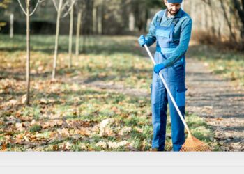 Tips to Choose the Perfect Lawn Sweeper for Suburban Yards: 5 Factors to Consider