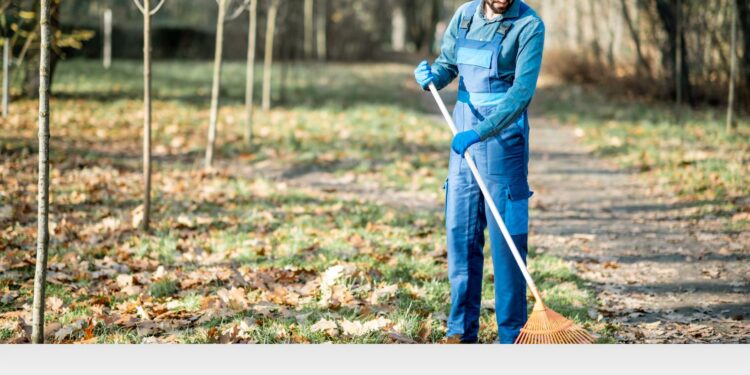 Tips to Choose the Perfect Lawn Sweeper for Suburban Yards: 5 Factors to Consider