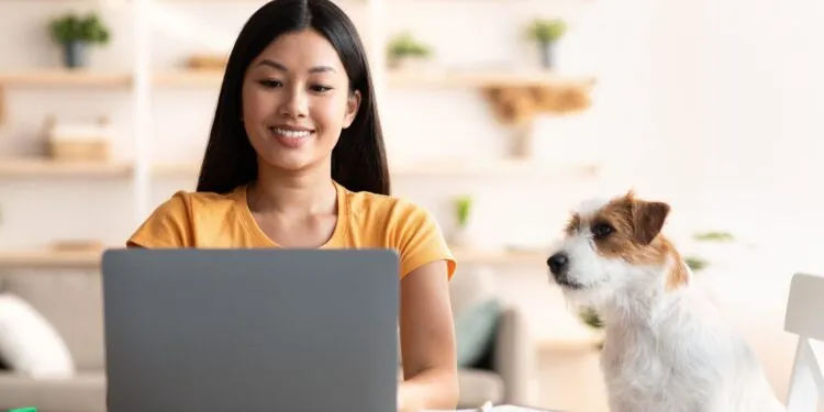 Are You Being Misclassified as an Independent Contractor? Your Rights in MA